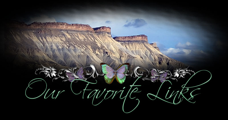 Our Favorite Links
